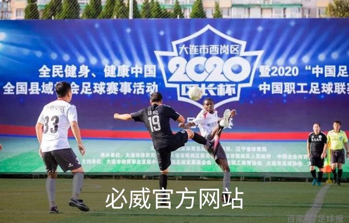 必威官方网站概况